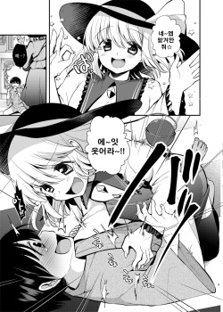 [Berry!16 (Mori Guruta)] Komeiji Shimai no Kusuguri Pet (Touhou Project) [Korean] [Digital] page 4
