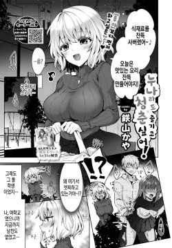 Onee-chan datte Seishun shitai!  | 누나라도 청춘 즐기고 싶어!