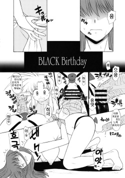 (C80) [Hooliganism (Murasaki Syu)] Record of ALDELAYD SideStory Black Birthday [Korean] page 8