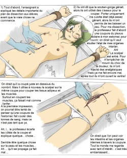 [Sachisuke Masumura] VivisectionFr page 2