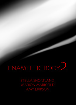 [WHITE BUNNY BOOKS] ENAMELTIC BODY 2 page 2