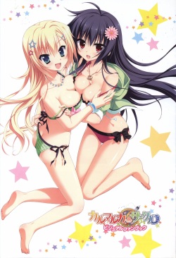 Karumaruka Circle Visual Fan Book page 3