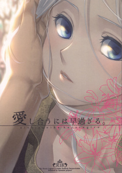(HaruCC22) [Kyusuisei Polymer (Kyusui)] Aishiau ni wa Hayasugiru. (Arslan Senki) page 1