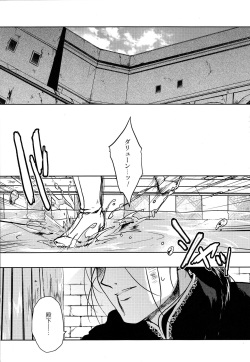 (HaruCC22) [Kyusuisei Polymer (Kyusui)] Aishiau ni wa Hayasugiru. (Arslan Senki) page 3