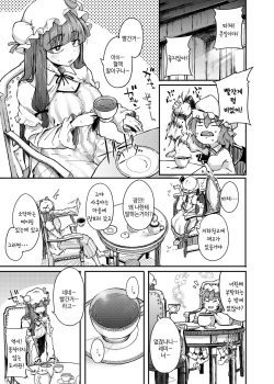[Jikahatsudensho (flanvia)] Ana to Muttsuri Dosukebe Daitoshokan | 구멍과 무뚝뚝한 개변태 대도서관 (Touhou Project) [Korean] [Digital] page 3