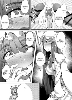 [Jikahatsudensho (flanvia)] Ana to Muttsuri Dosukebe Daitoshokan | 구멍과 무뚝뚝한 개변태 대도서관 (Touhou Project) [Korean] [Digital] page 7