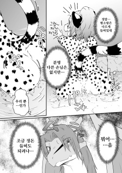 (Kemoket 8) [Tail Spot (Urekemo LaLa)] Cat &amp; Dragon 4 [Korean] [나나치 저장소] page 7