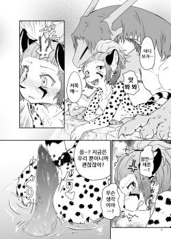 (Kemoket 8) [Tail Spot (Urekemo LaLa)] Cat &amp; Dragon 4 [Korean] [나나치 저장소] page 8