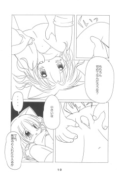 (COMITIA65) [Puni Puni Donburi (Seikichi)] Yume no Owari page 10
