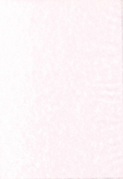 [Inudrill. (Inumori Sayaka)] Shiawase ni Naritai (Ar Tonelico 2) page 2