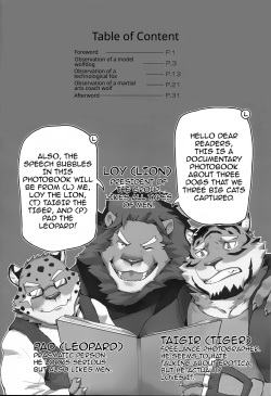 (FF31) [Taki_kaze] Paparazzi's diary [English] page 3