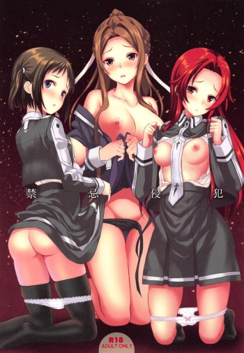 (C95) [Seven Days Holiday (Shinokawa Arumi, Koga Nozomu)] Kinki Shinpan | Taboo Infringement (Sword Art Online) [English] {Doujins.com} cover