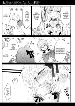(C88) [Shoujo Zukin (Hatomugi Munmun)] Daiseidou Kounin no Atarashii Mizugi | 대성당 공인의 새로운 수영복 (Ragnarok Online) [Korean] [팀실버] page 8