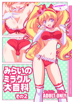 (C90) [Oremuha X (Kikuchi Tsutomu)] Mirai no Miracle Daihyakka Sono 2 (Mahou Tsukai PreCure!) [Korean] page 2