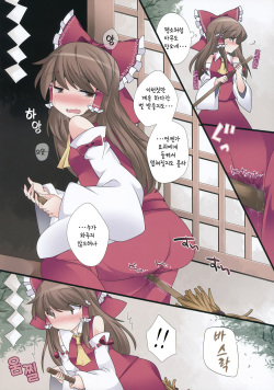 (C84) [Sunset Beach (Hammer)] Hitori Asobi Gensou (Touhou Project) [Korean] page 3