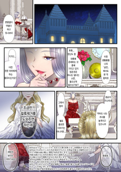 [Dokutoku no M (Denchi)] Koukyuu Shoufu no Baikoku Maso-ka Choukyou ~Juusha Baikyaku Hen~ | 고급창부의 매국 마조화 조교 ~종자 매각 편~ [Korean] page 2