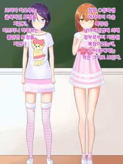 [Doujin Feti] Danjo Gyakuten-hou ~Ikanaru Baai ni Oite mo Josei no Tachiba wa Dansei yori Ue ni Naru~ | 남녀역전법 ~어떠한 경우에도 여성은 남성보다 우월하다~ [Korean] [DiaperKor] page 9