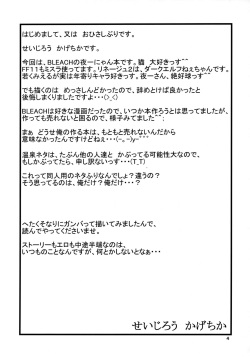 (C66) [Great.Dadan (Seijirou Kagechika)] Yoruichi Nyan no Hon (Bleach) page 3