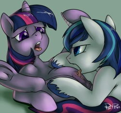 ARTIST Ponypron page 2