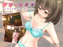 [おおいぬのふぐり] 欲望の放課後～じわじわ脱がせて初エッチ～ page 1