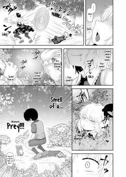[Fugudoku (Katou Fuguo)] Surudake Juukyuu. (Touhou Project) [Digital] [English] [Pedy] page 4